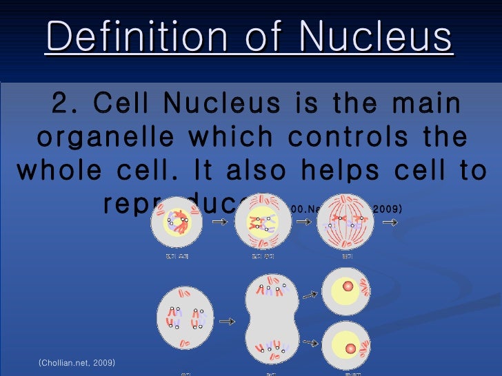Genetic Information the Nucleus